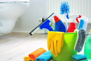 Messie Reinigung Freising