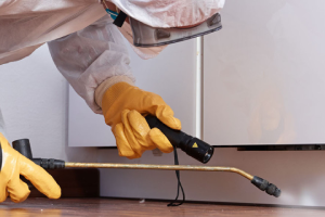 Messie Schädlingsbekämpfung Freising